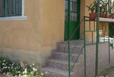 Casă cu 3 camere cu Teren 10000 Mp în Gherteniș - 9