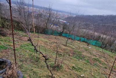 Teren de 981 mp, în Central - 3