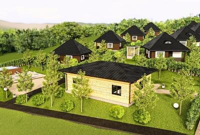 Casă cu 2 camere cu Teren 350 Mp în Tei - 2