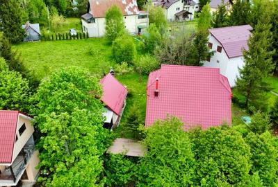 Vila vacanta Cheia - Prahova, pretabila pentru investitie - 23