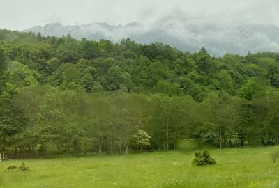 Teren intravilan de 2750 mp, în Brebina