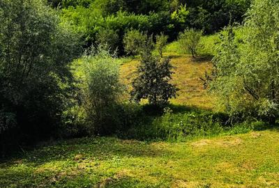 Casa de Vanzare Sanduleni Jud Bacau - 8