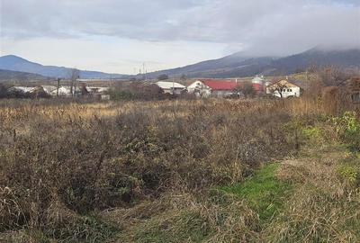 TEREN INTRAVILAN 10.700 mp  DE VANZARE  IN TG.OCNA - 1