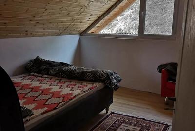 Cabana de inchiriat - 2