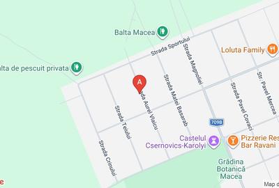 Casă individuală cu 2 camere cu Teren 1440 Mp în Macea - 1