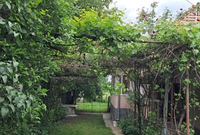 Casă cu 3 camere cu Teren 500 Mp în Central - 4