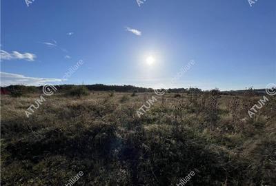 Teren intravilan de 6000 mp situat in Sibiu zona industriala Selimbar - 4