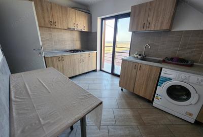 Casă cu 2 camere în Sânandrei - 7