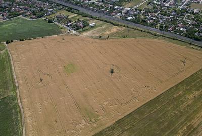 Teren Construcții intravilan de 4003 mp, în Grădiște - 14