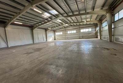 Spațiu comercial, de 2,000 mp, în Șagului - 11