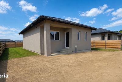 Casă cu 3 camere cu Teren 300 Mp în Ciurea - 4