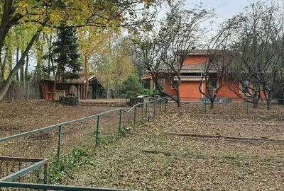 Teren cu Casa BONUS deschidere la Lacul Snagov - 11