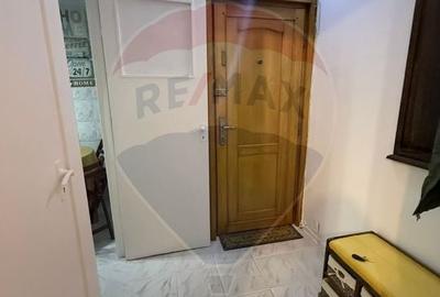 Apartament de inchiriat 2 camere Brazda lui Novac Apartament de inchiriat 2 camere Brazda lui Novac - 4