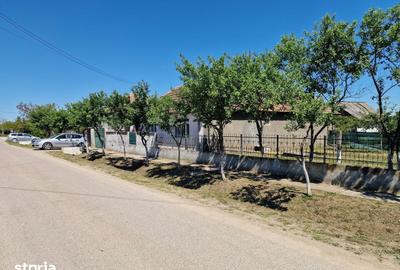 Casă cu 6 camere cu Teren 4728 Mp în Mădăras - 3