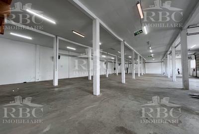 Spațiu industrial, 1000 mp în Someșeni