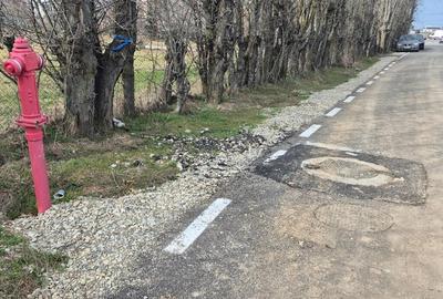 Teren Balotesti,vecinatate Dn1 Bucuresti Ploiesti,utilitati 600mp - 8