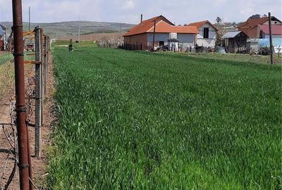 Teren de 2200 mp, în Brădești - 4