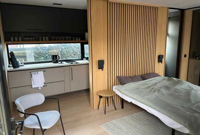 Casă cu 3 camere în Mănăstireni - 5