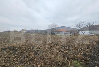 Teren extravilan 9000 mp, Ocna Mures - 1