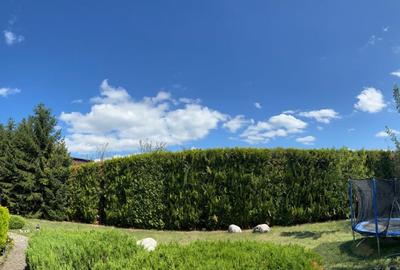 Prahova, casa mare P+1+M- 193 mp construiti, teren 1599 mp, in Brebu - 4