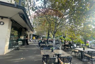 Spa?iu birouri/Sediu firma de vanzare Parcul Carol - 26