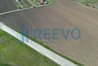 Teren de vânzare, Com. Nicolae Bălcescu, Jud. Bacău - 9