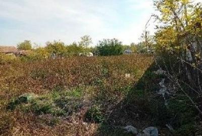 Casa si teren Glodeanu Sarat ; ID: R2839616 - 2