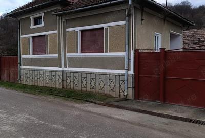 Casă cu 3 camere cu Teren 2400 Mp în Diosig - 8