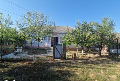 Casă cu 3 camere cu Teren 664 Mp în Gângiova - 8