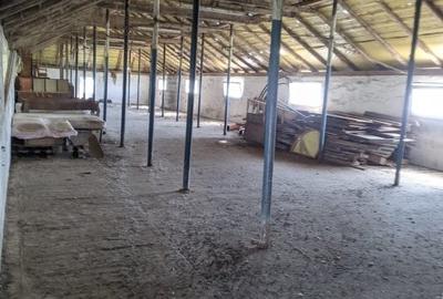 Teren de 95000 mp, în Cerneteaz - 7