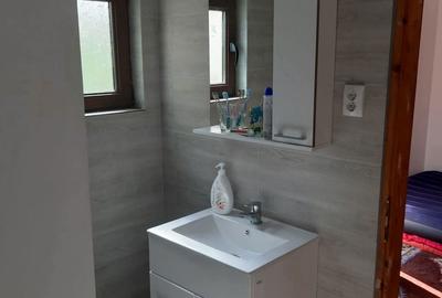 Casă cu 2 camere în Berislăvești - 3