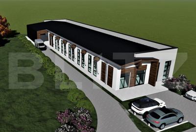 Proprietate comerciala, teren 15.923 mp, 2 hale construite,