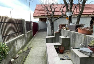 Casă individuală cu 4 camere cu Teren 1454 Mp în Pustiniș - 4