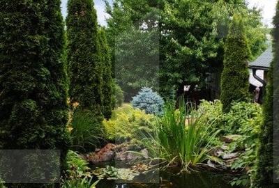 Oportunitate! Casa 300 mp utili, 1000 mp teren, zona Gruia - 9