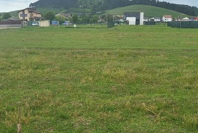 Oportunitate! 550 mp, str Zmeurei, PUZ, Zona rezidentiala 34000 EURO - 6