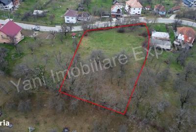 Teren de 2674 mp, în Cepari - 7