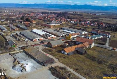 Spațiu comercial, în Boroșneu Mare - 16