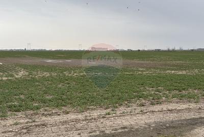 Teren agricol intravilan de 12651 mp, în Central - 11