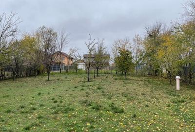 Domnești – teren 750 mp, cu puț, pomi, gard viu, gard bordurat, porti, curat! - 5