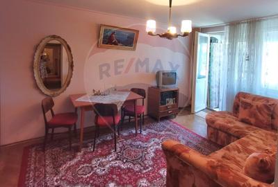Apartament cu 3 camere decomandat, mobilat în Bălcescu - 6