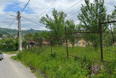 Teren de 4200 mp, în Ocina de Sus - 14