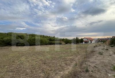 Teren in Filiasi 1000 mp / 30 ml front, toate utilitatile - 2