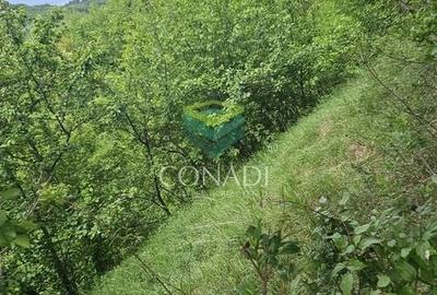 Teren Construcții intravilan de 800 mp, în Exterior Vest - 13