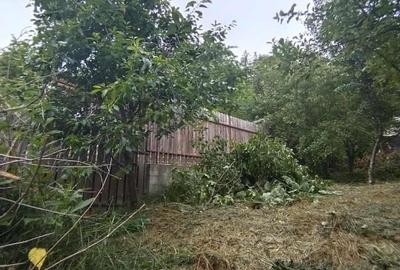 Casă individuală cu 2 camere cu Teren 440 Mp în Soveja - 5