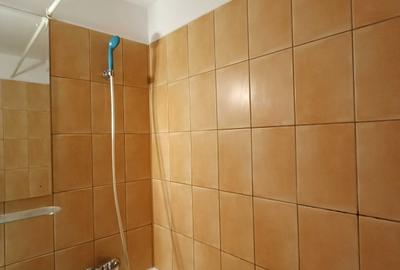 Garsonieră decomandată în Brâncoveanu - 5