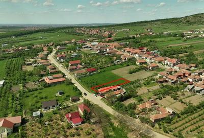 RECO . Teren intravilan in Betfia 2180mp . - 3