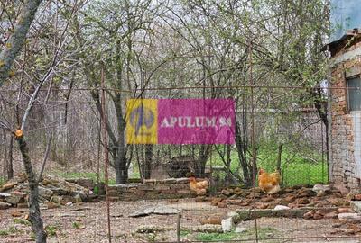 Casă cu 2 camere cu Teren 5000 Mp în Bucșani - 2