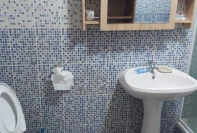 Inchiriez apartament cu 2 camere parter zona Piata Victoriei- Titulesc - 3