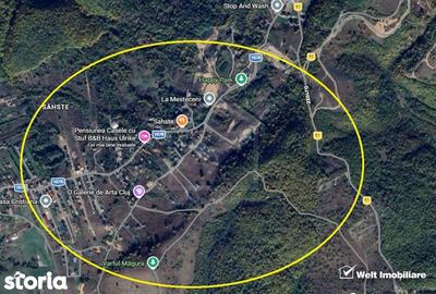 Teren de 700 mp, în Ciurila