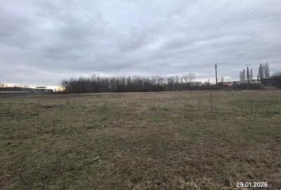 Spațiu comercial, în Dumbrăvița - 1